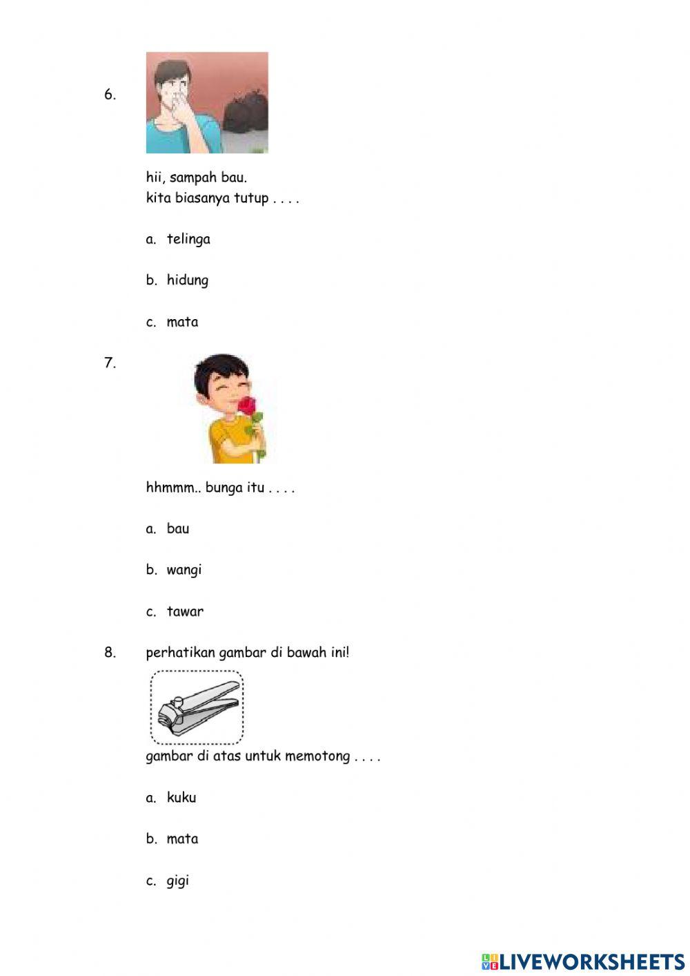 PTS IPA selasa 28 september 2021