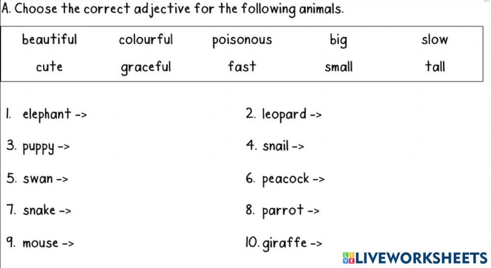 Year 3: Lesson 73:  Comparatives: Short adjectives- Statements