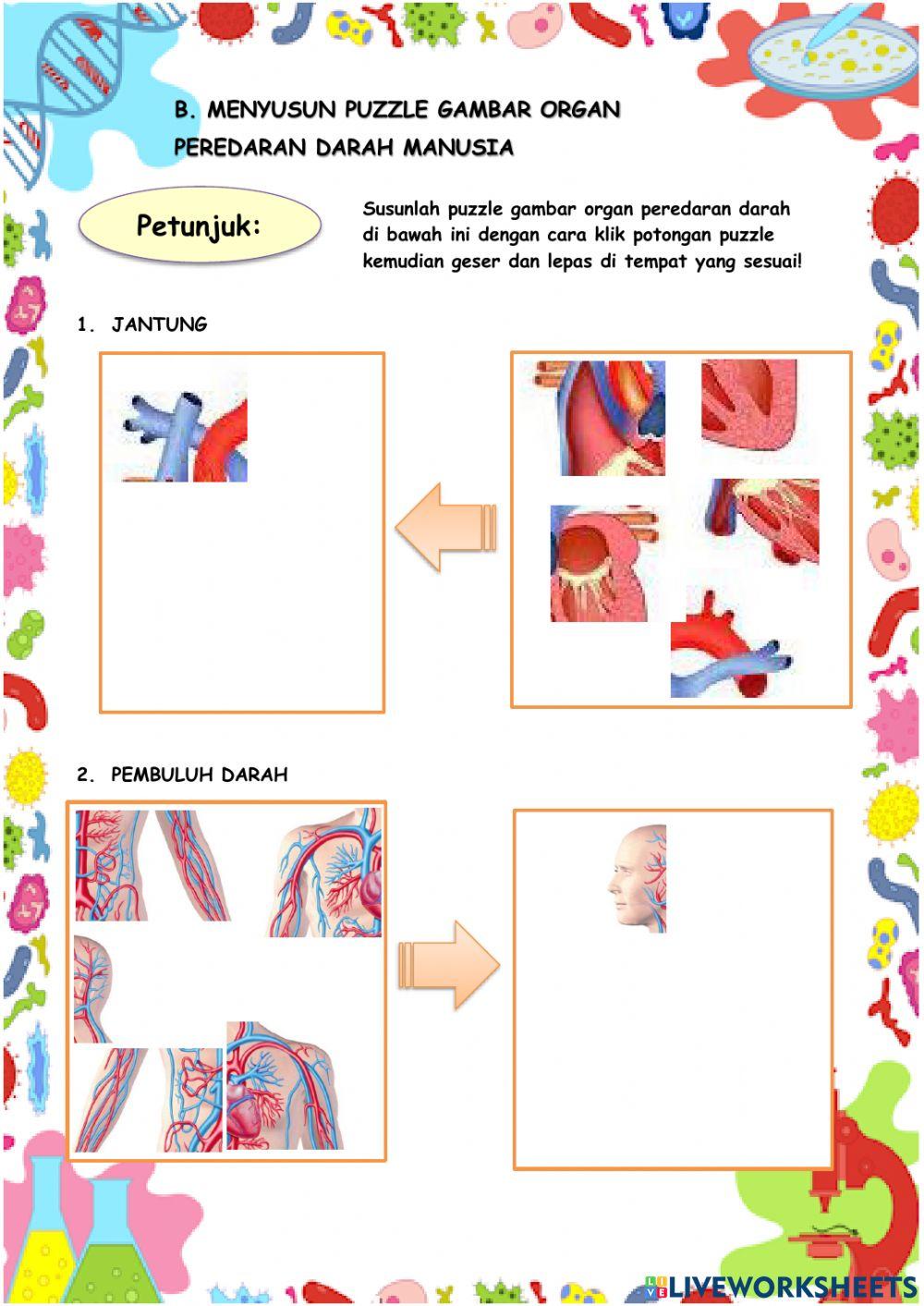 Kelas 5 Tema 4 ST 2 PB 2 (PART 2)