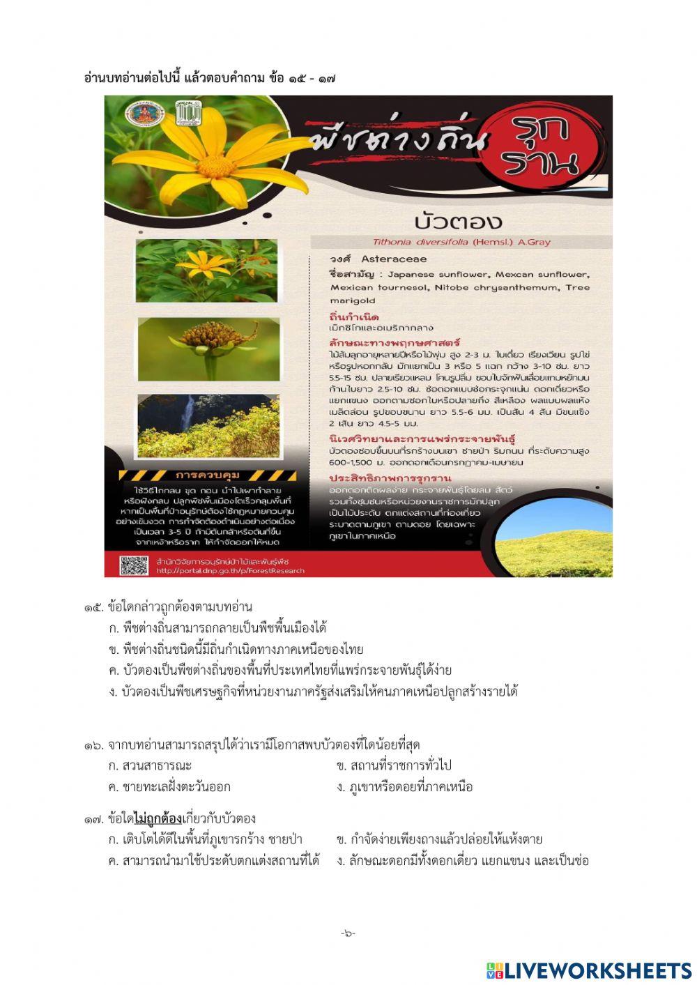 ปลายภาค