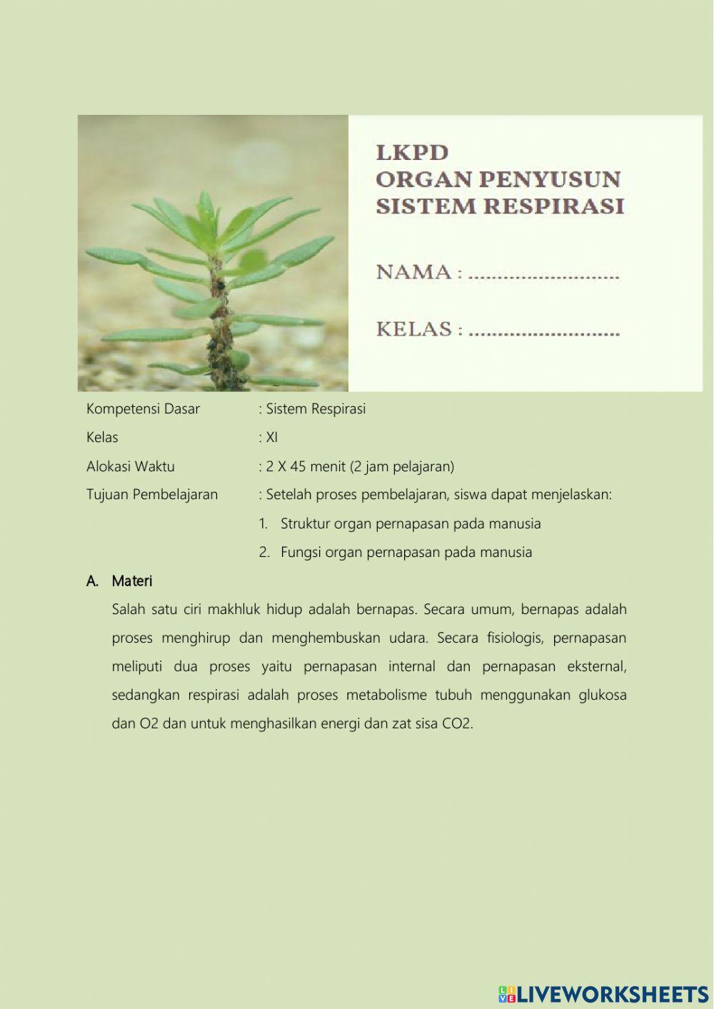 Lkpd organ penyusun sistem respirasi