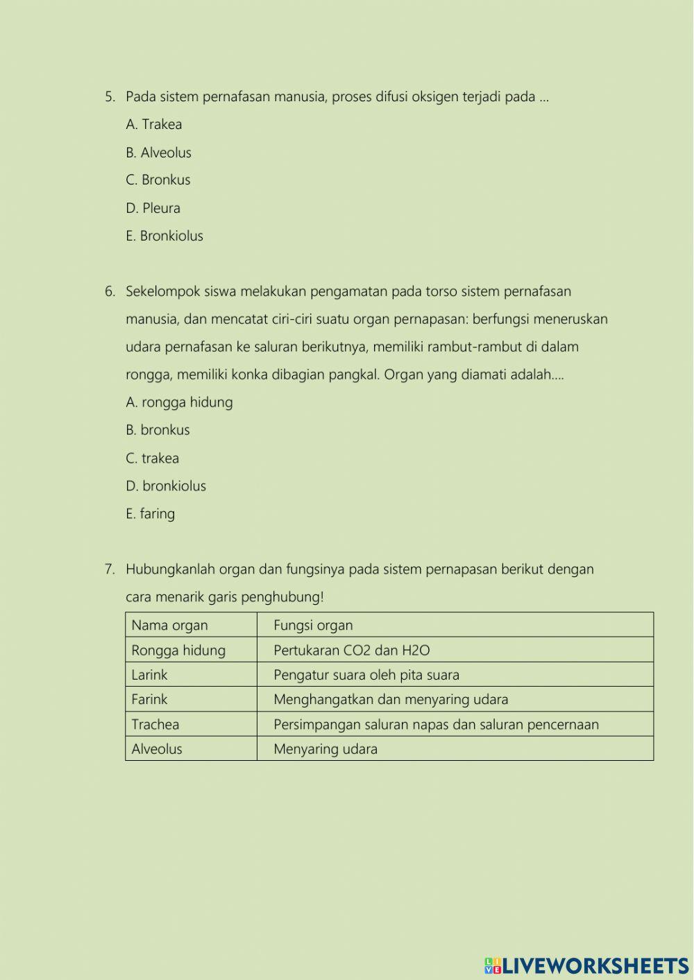 Lkpd organ penyusun sistem respirasi