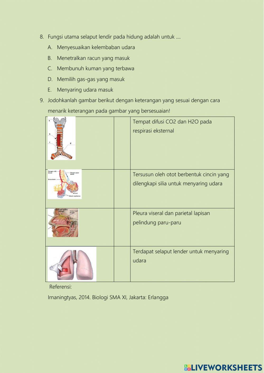 Lkpd organ penyusun sistem respirasi