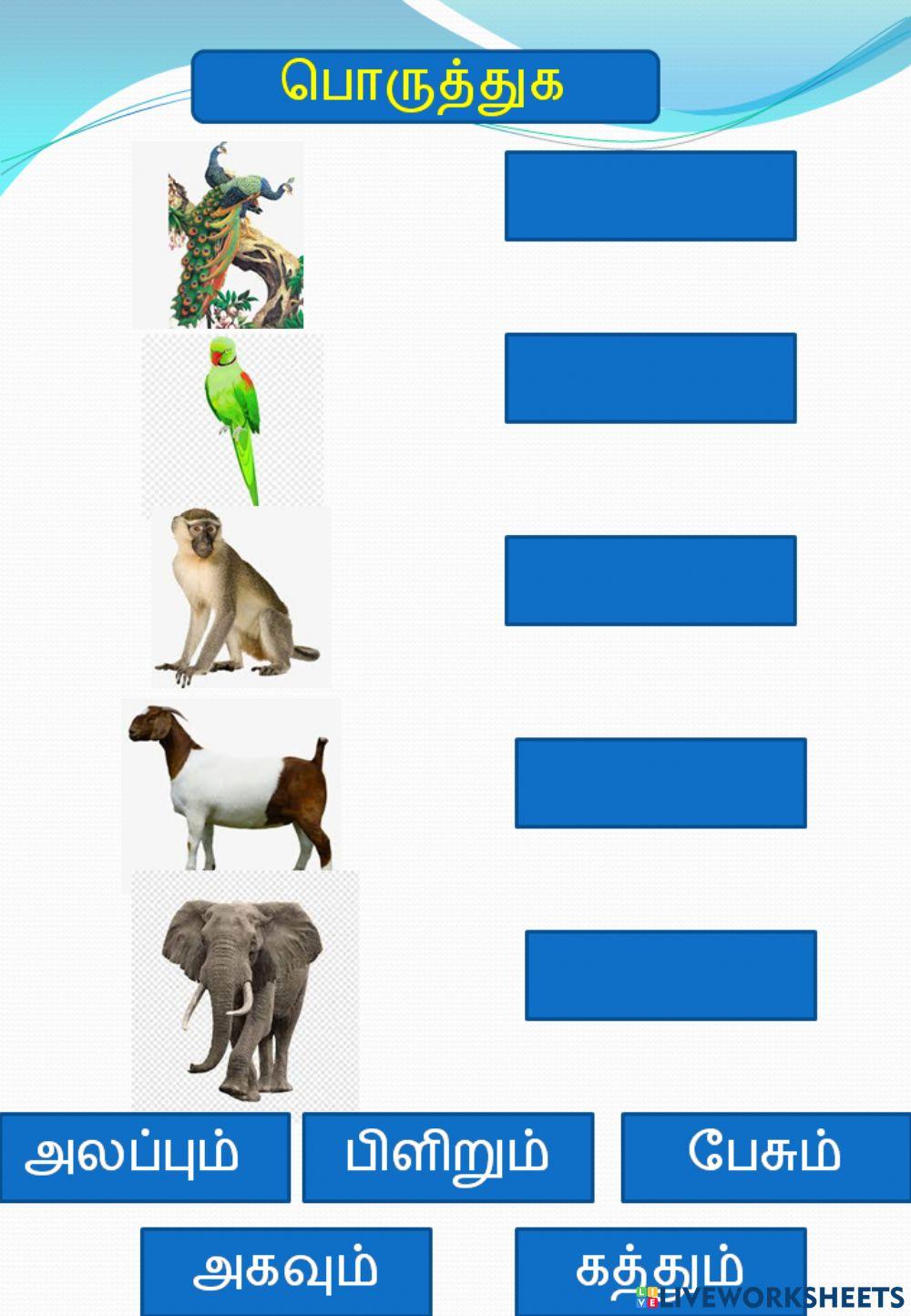 ஒலி மரபு பொருத்துதல்