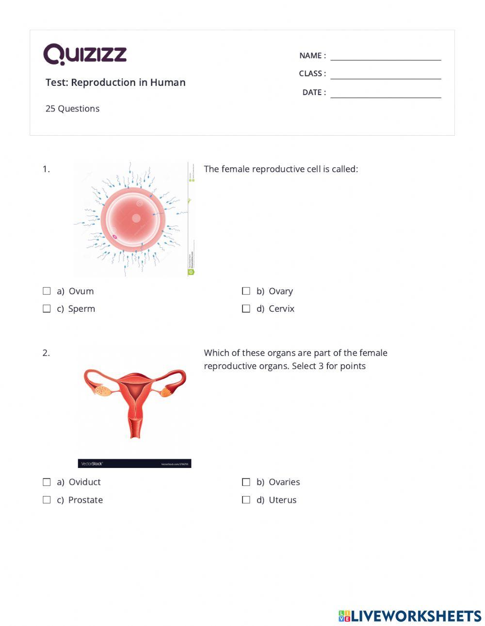Test on Reproduction in Human
