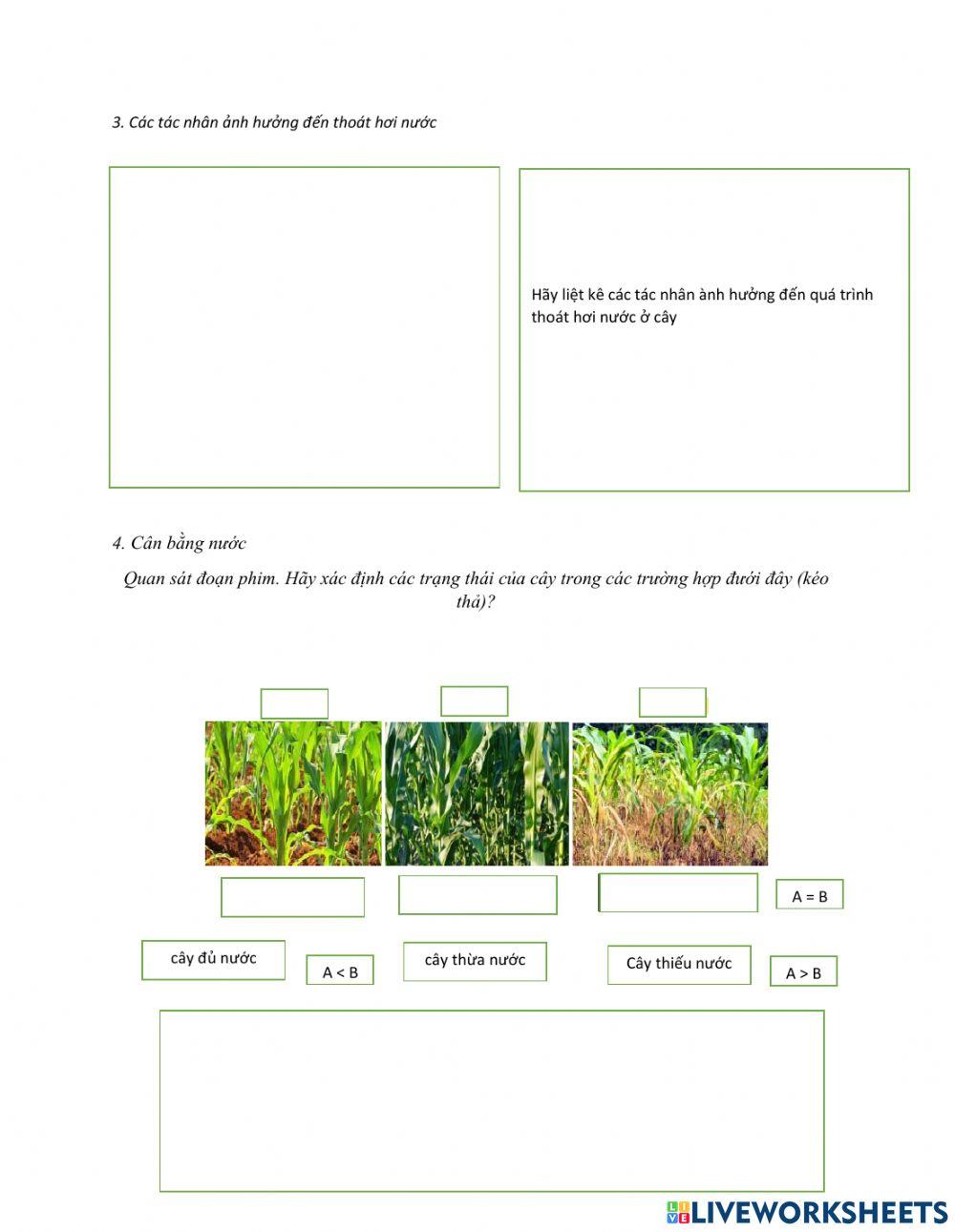 Trao doi nuoc va ion khoang (tiet3)