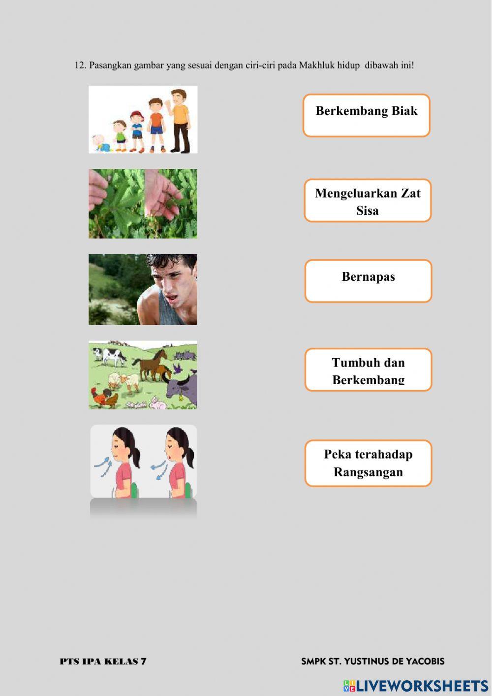 Pts ipa kelas 7 2021