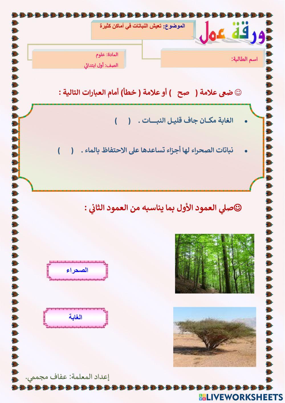 تعيش النباتات في أماكن كثيرة