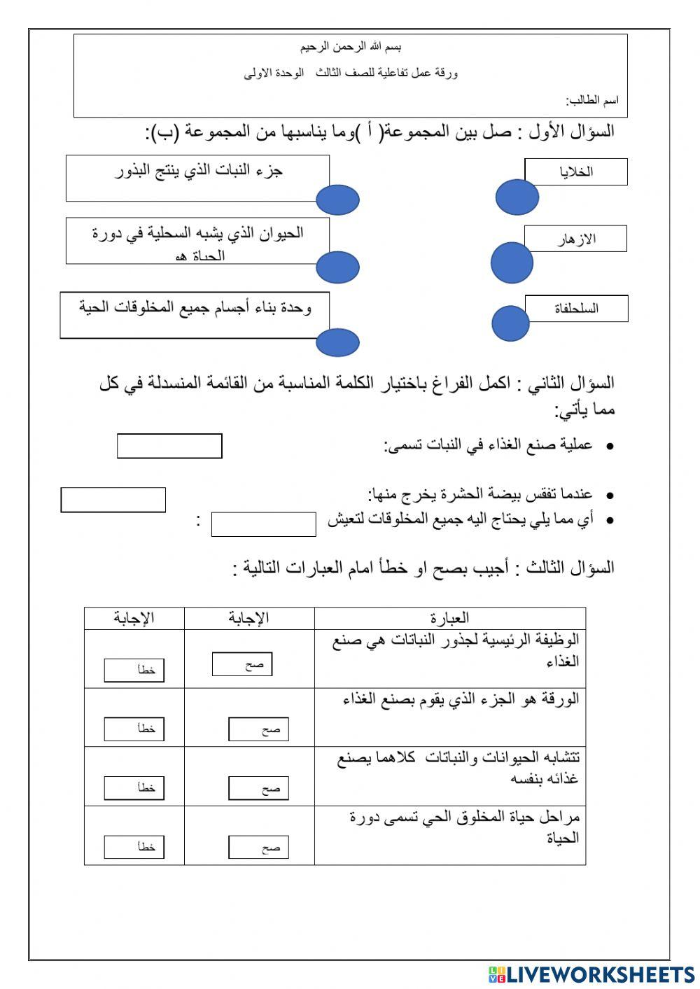 ورقة ثالث تفاعلية