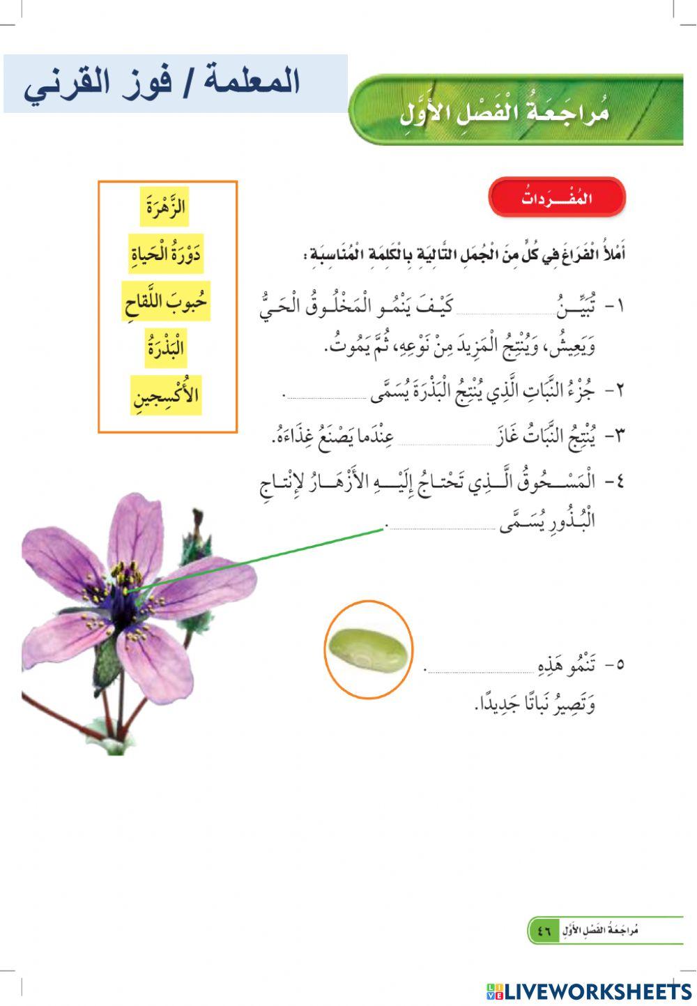 مراجعة الفصل الأول ثاني