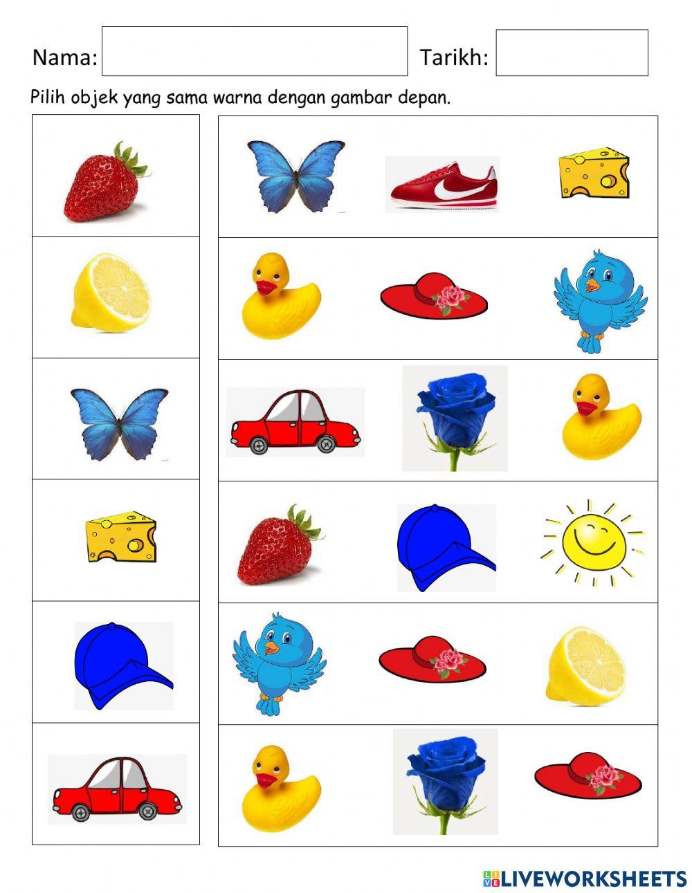 Kemahiran manipulatif- Diskriminasi warna objek yang sama