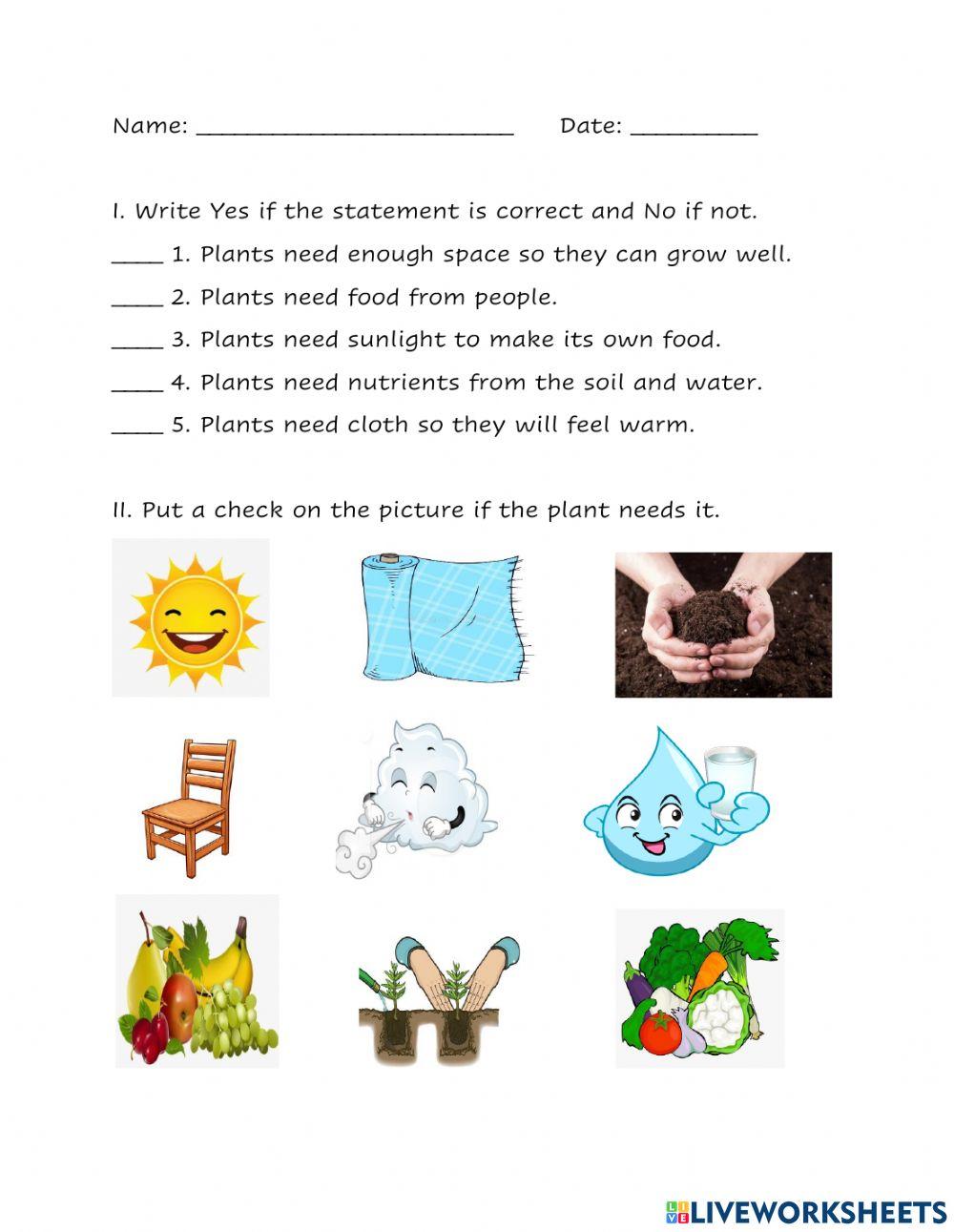 1450659 Needs of Plants joanlimomunez