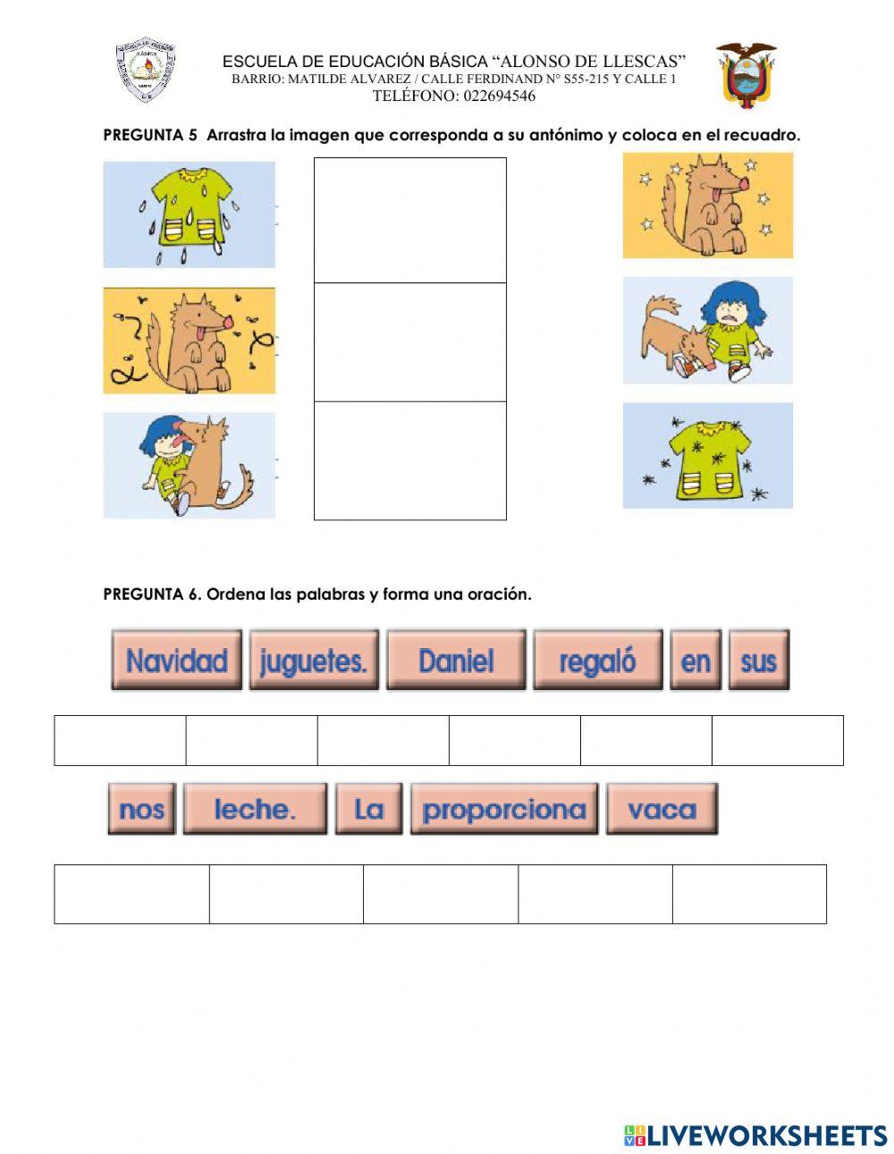 Evaluacion diagnostico
