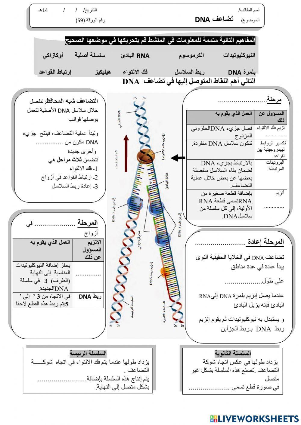 ورقة 59تفاعلية3