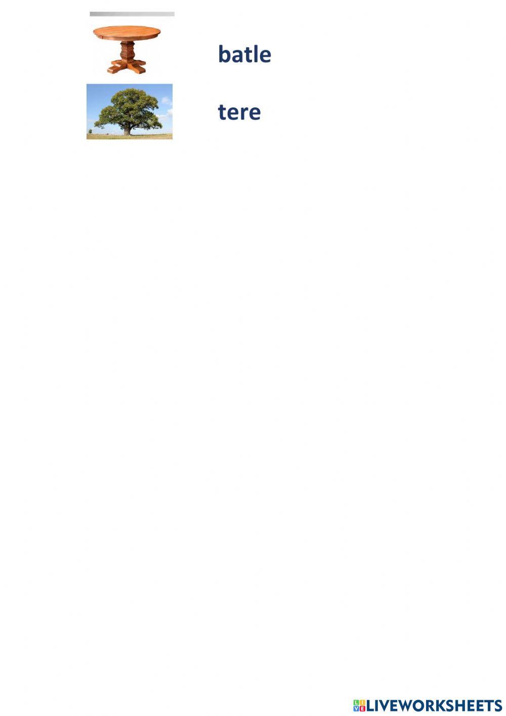 Vocabulary elementary