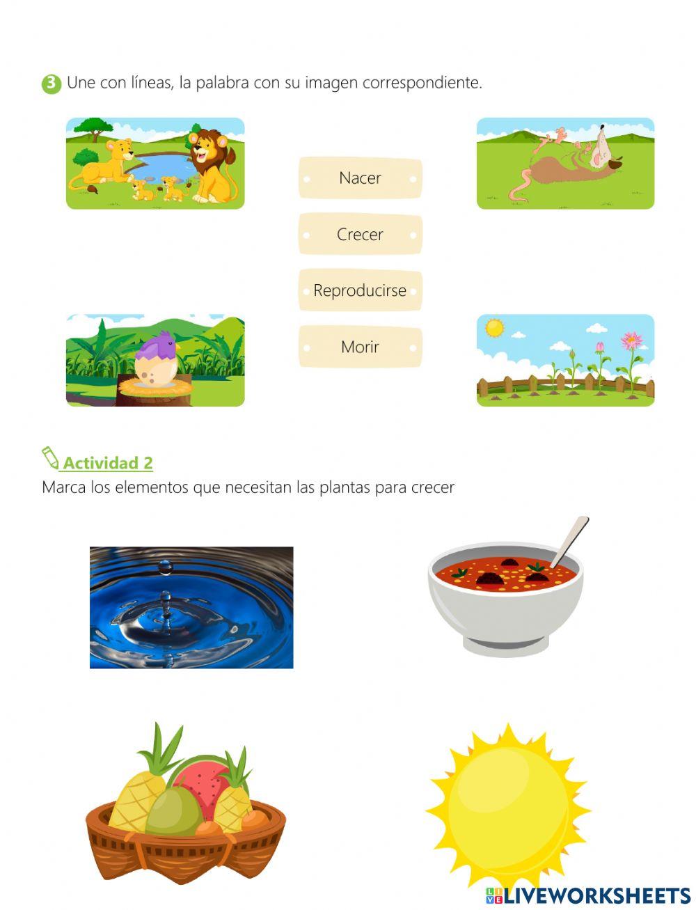 Seres vivos e inertes