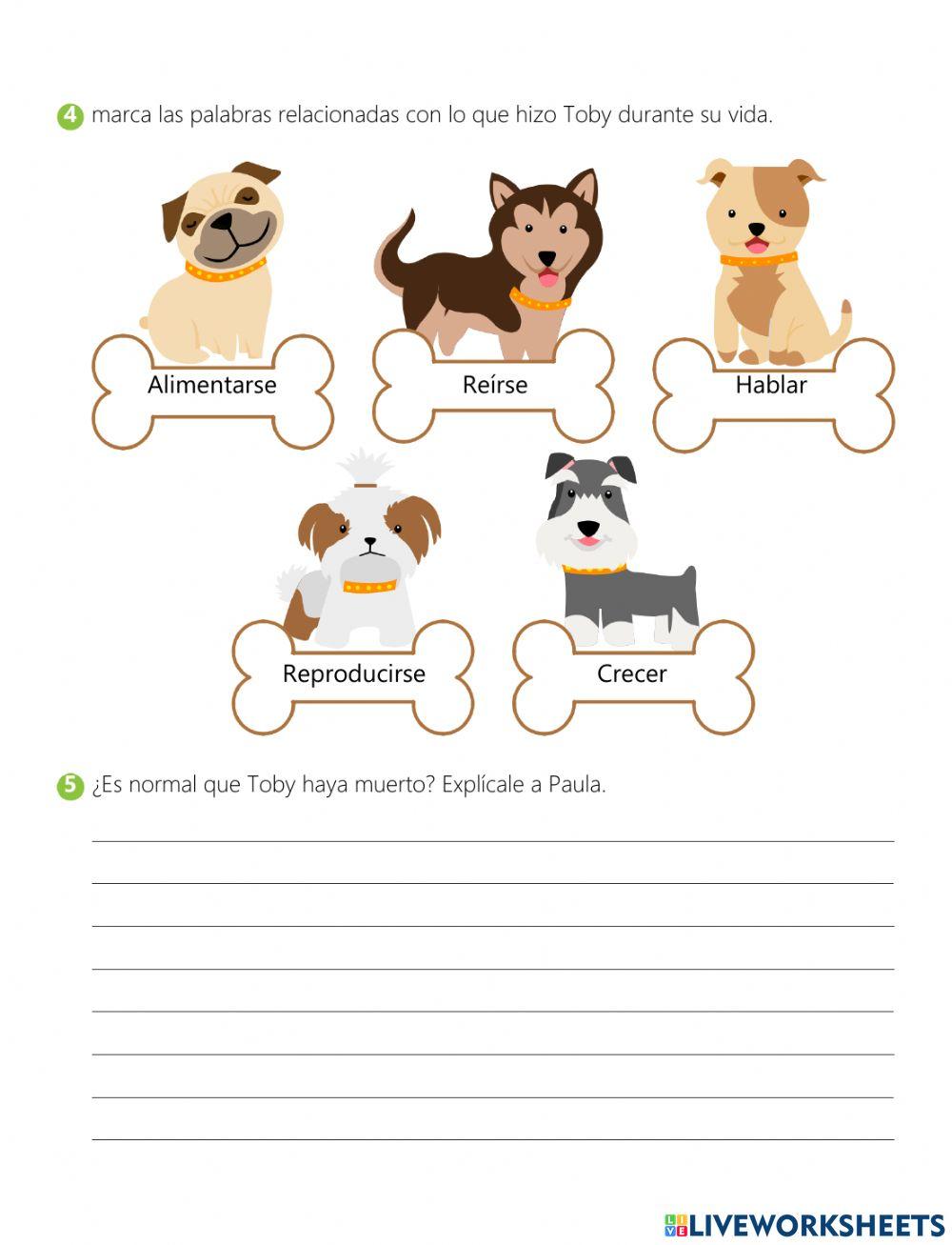 Seres vivos e inertes