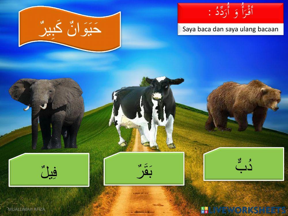 Bahasa arab tahun 5 - Haiwan Besar & Kecil
