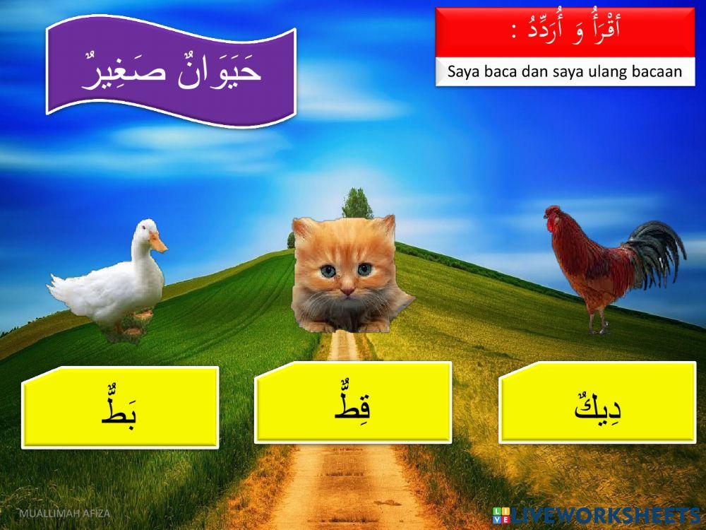 Bahasa arab tahun 5 - Haiwan Besar & Kecil