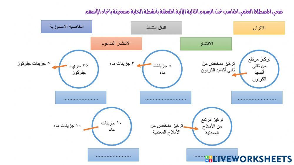 انشطة في الخلية
