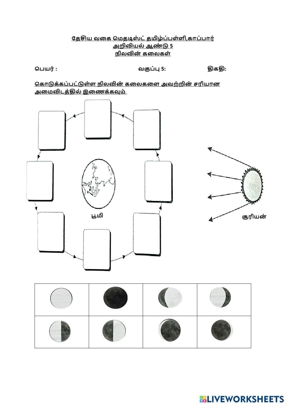 நிலவின் கலைகள்