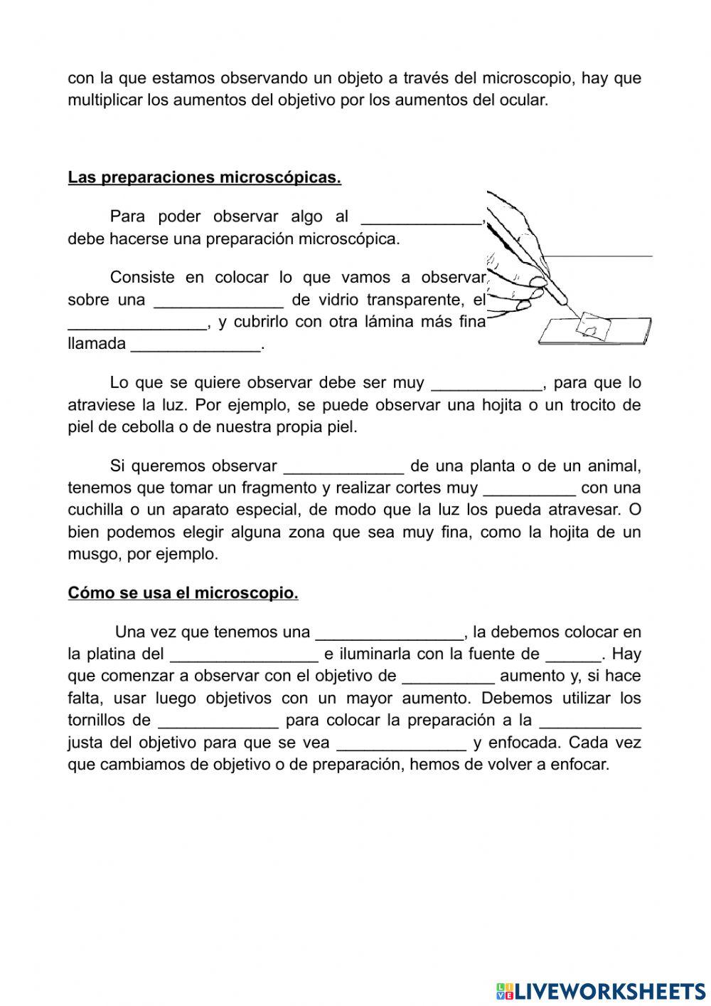 El uso del microscopio