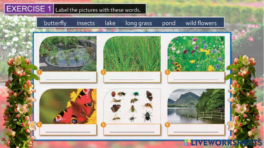 Unit 5: the environment (lesson 40)