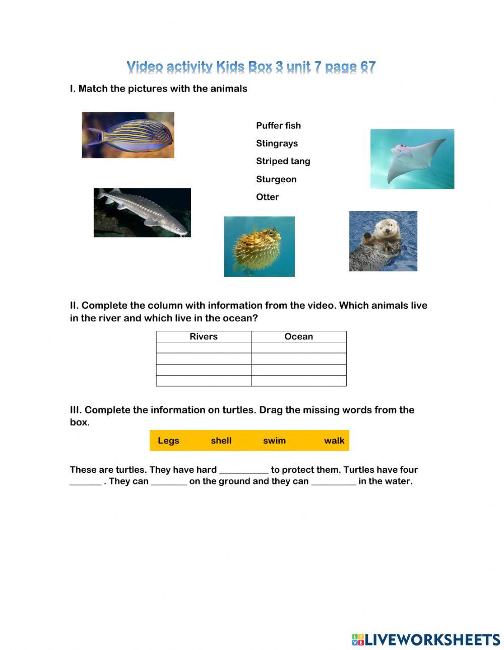 Video act KB3 unit 7