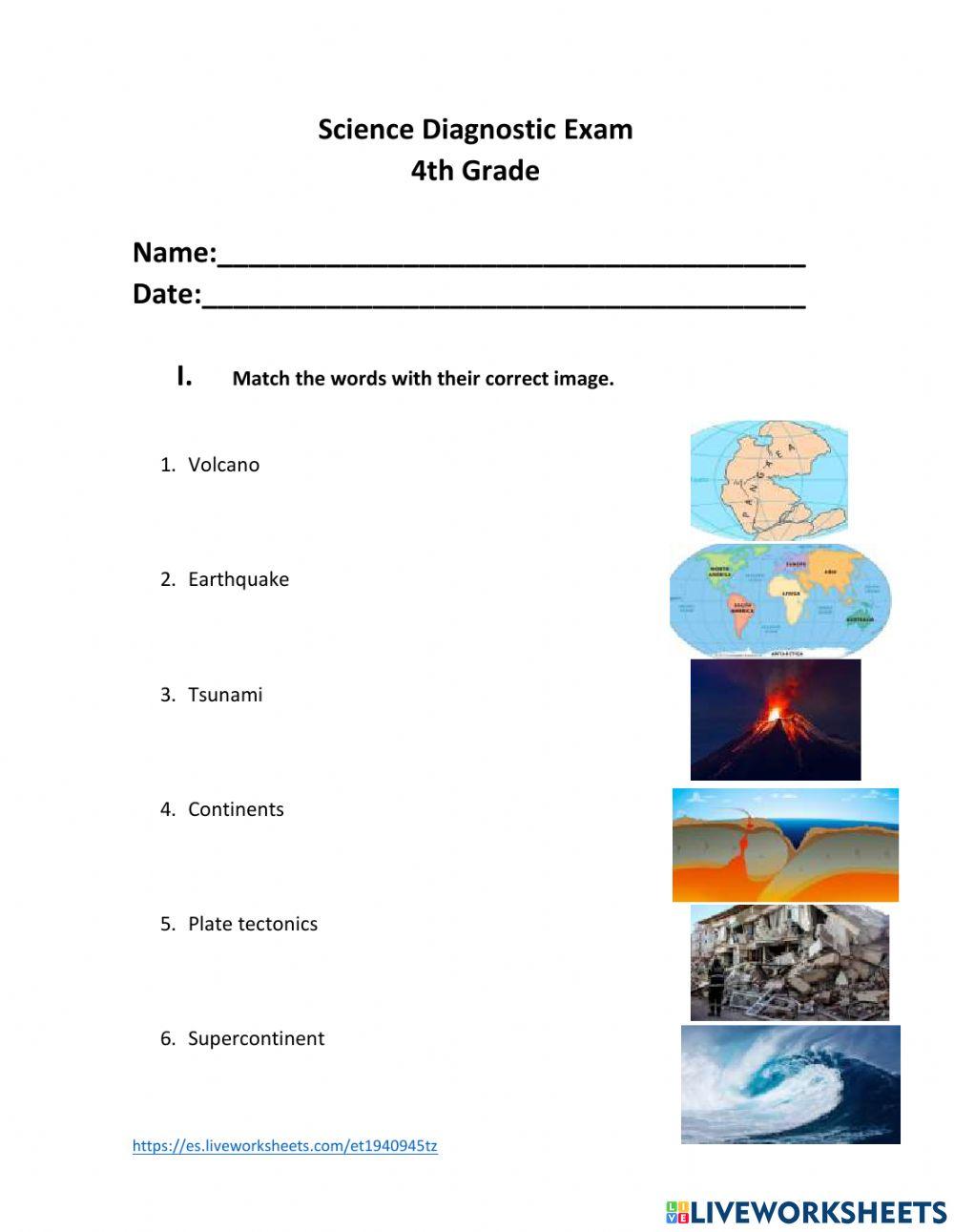 Science Diagnostic Exam 4th grade worksheet | Live Worksheets
