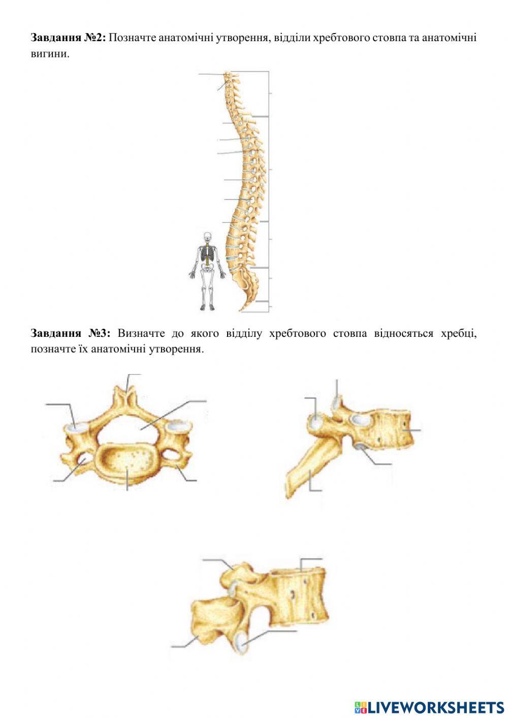 Практичне заняття 1