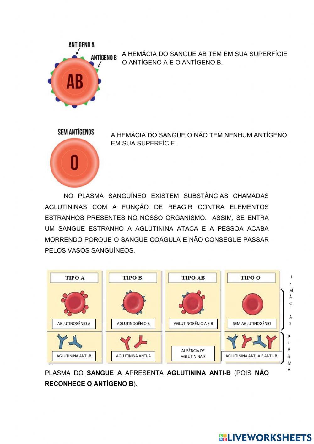 Tipos sanguíneos - Sistema ABO