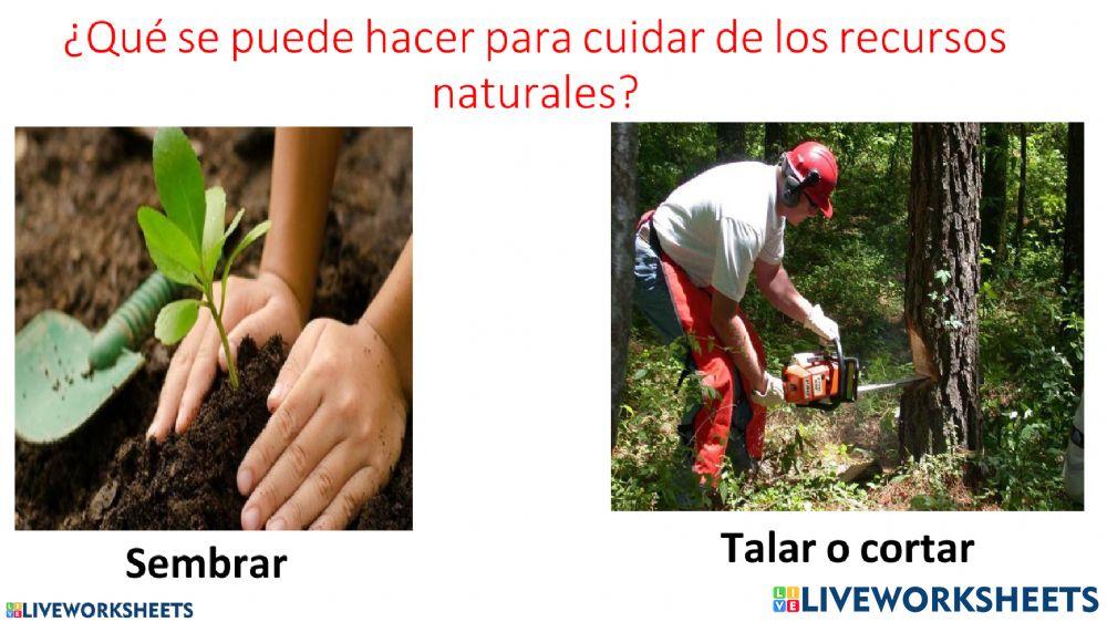 Uso racional de los recursos