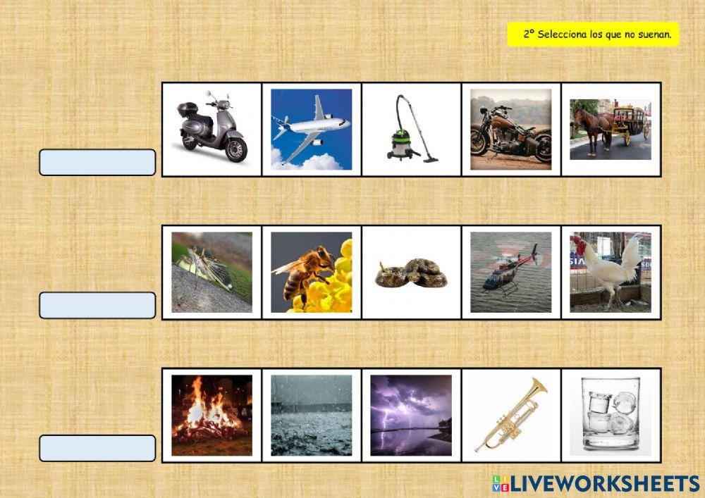 SONIDOS DEL ENTORNO 11