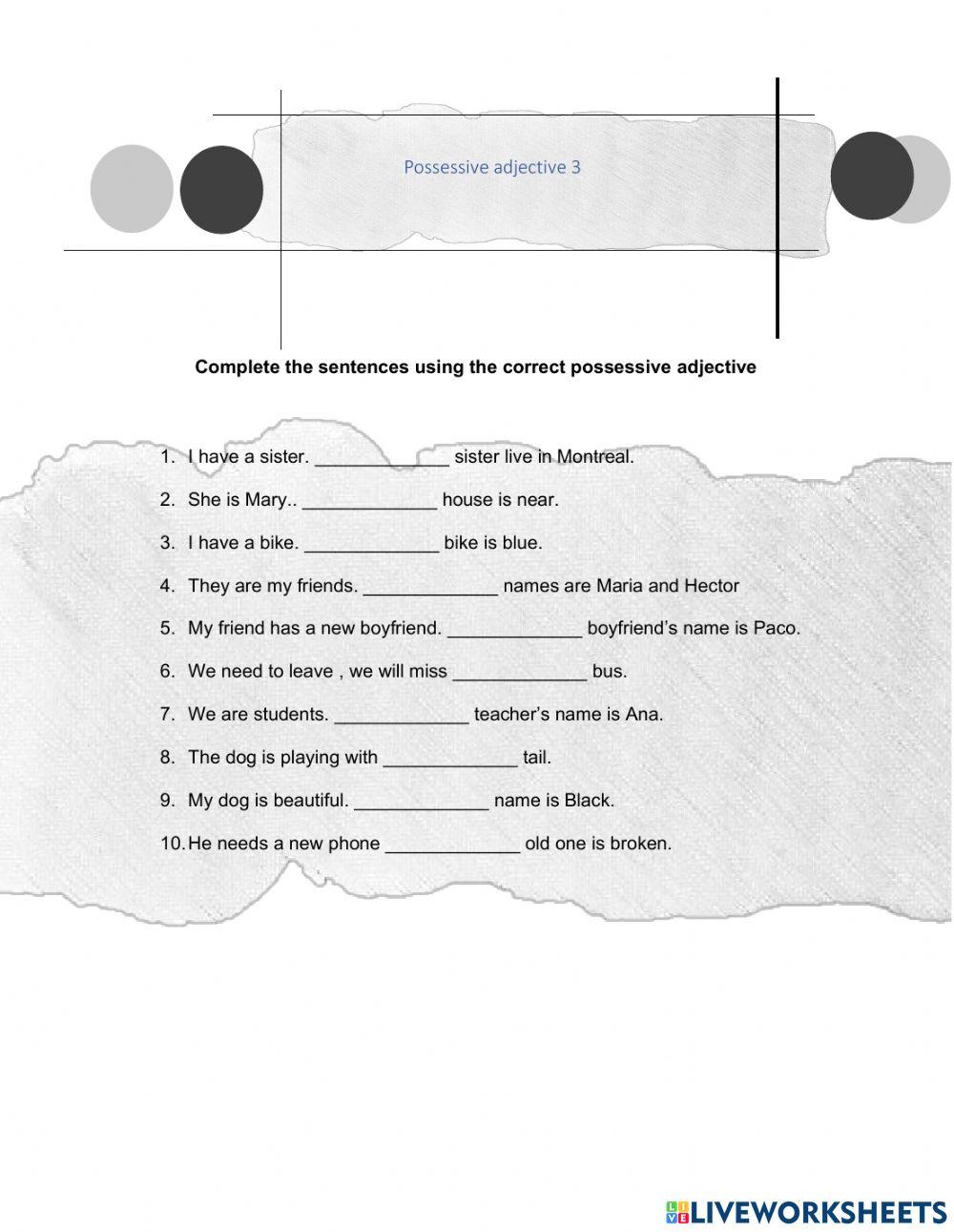 Possessive adjectives 3