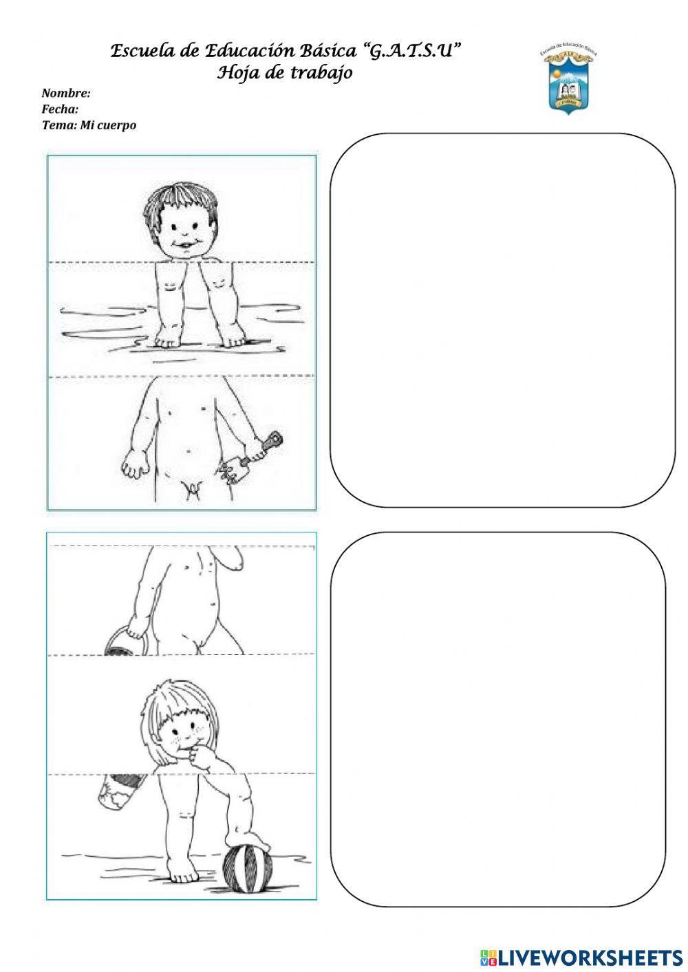 Partes gruesas del cuerpo