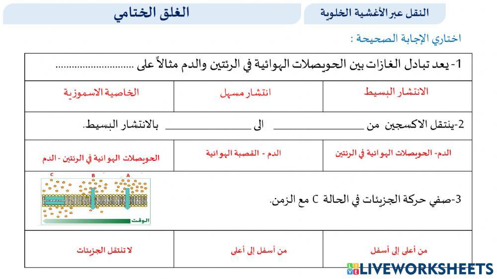 الانتشار البسيط