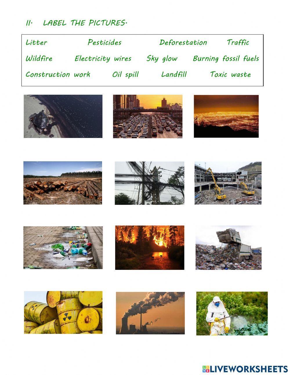 pollution-solutions-1452760-carmen-garcia-live