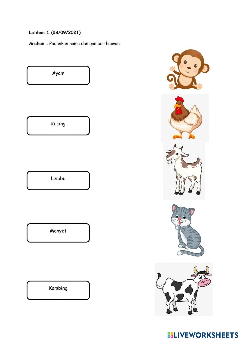 Latihan 1 (Haiwan)