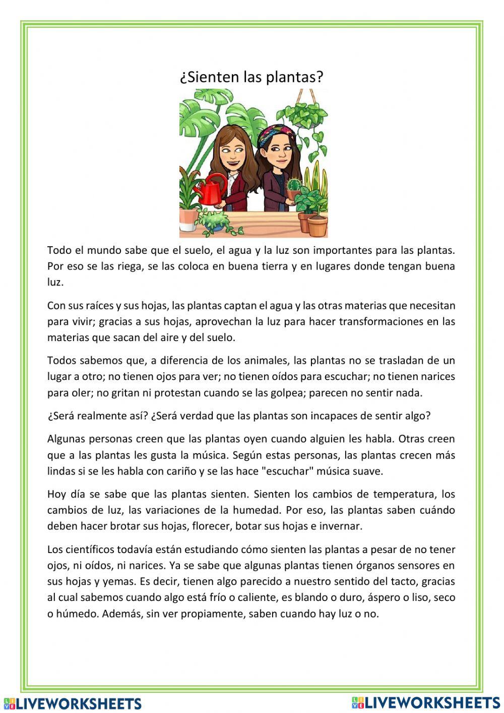 Mis amigas las plantas