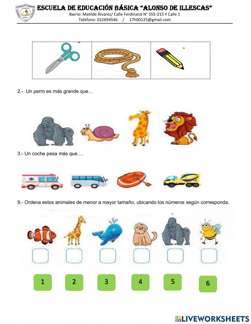 Evaluación matemáticas