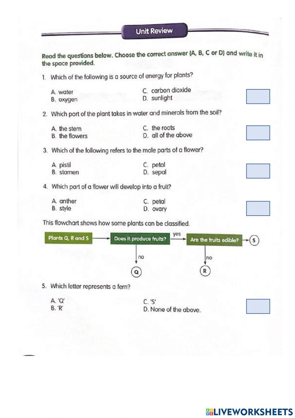 Year 5 Plant System Unit Review