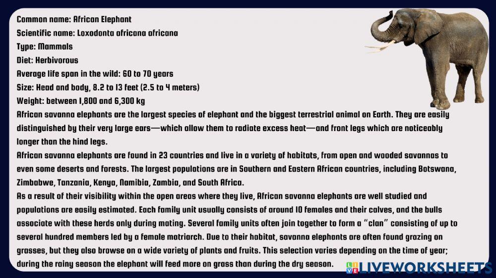 SIXTH GRADE -The natural world-