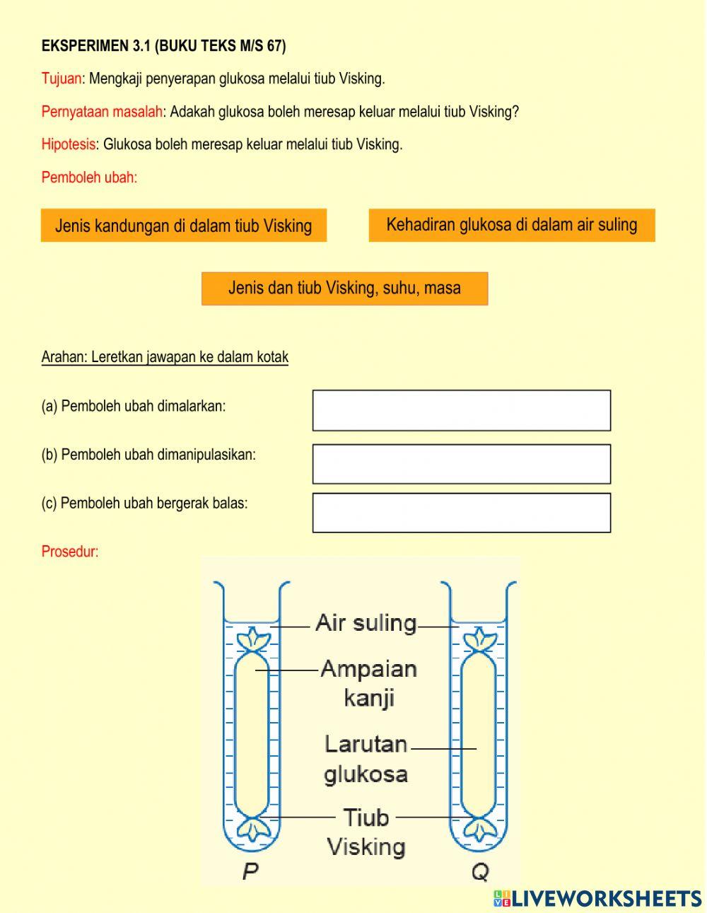 EKSPERIMEN 3.1 MENGKAJI PENYERAPAN GLUKOSA MELALUI TIUB VISKING
