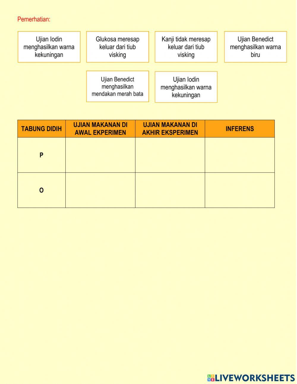 EKSPERIMEN 3.1 MENGKAJI PENYERAPAN GLUKOSA MELALUI TIUB VISKING