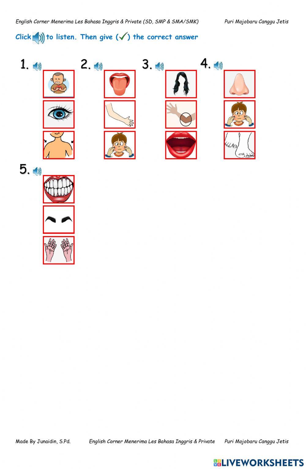 Listening Human body