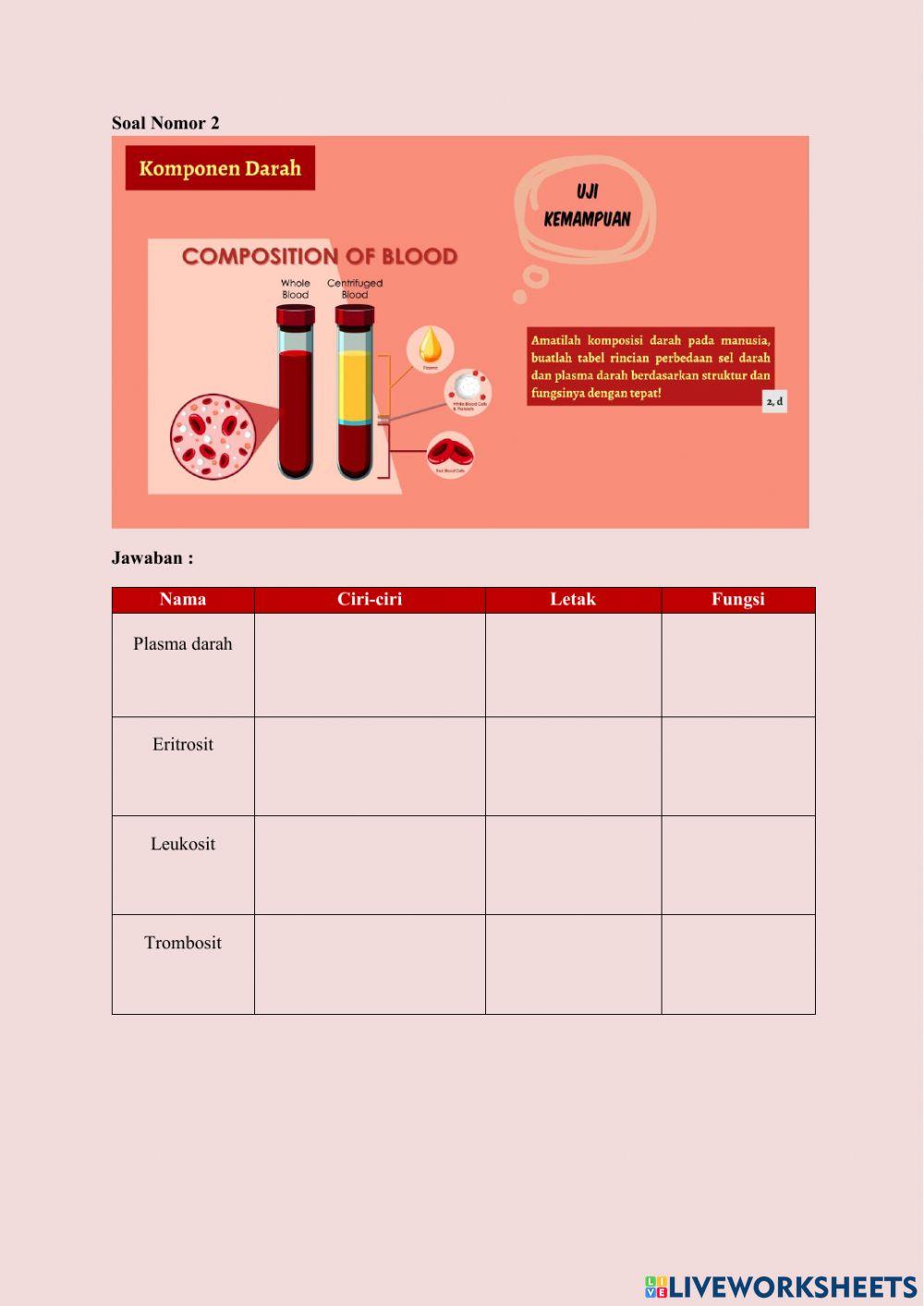 Lembar jawaban prezi pertemuan 1