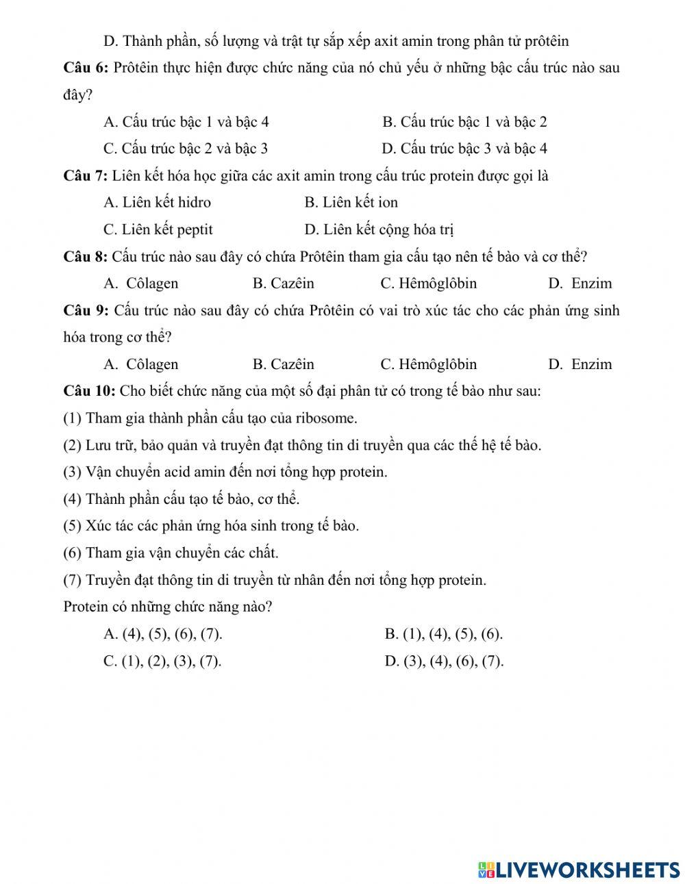 Bài 5.sinh 10.protein