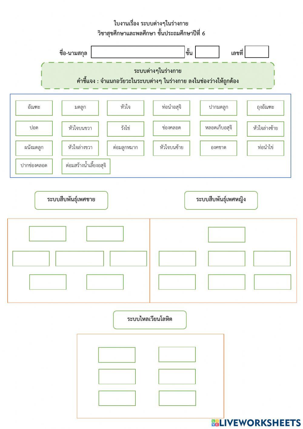 จำแนกระบบต่างๆในร่างกาย
