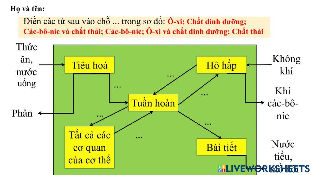 Khoa học t1