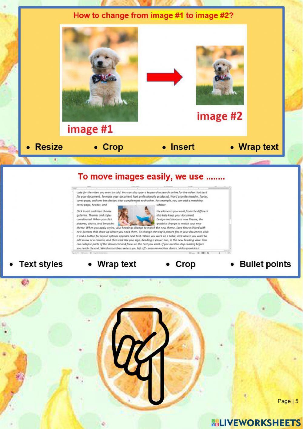 MS Word - Grade 5 - Inserting table